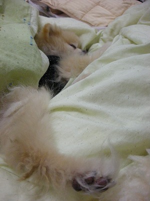 08040802.jpg