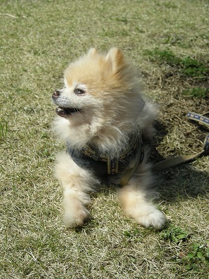 08040803.jpg