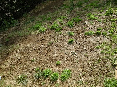 08040902.jpg