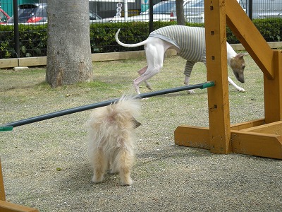 08041202.jpg