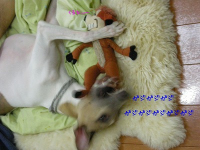 08041703.jpg