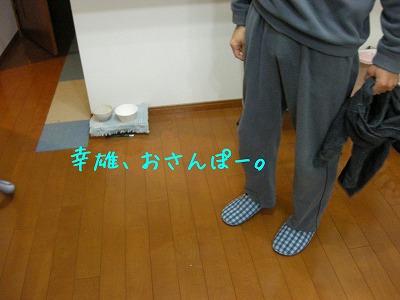 08041901y.jpg