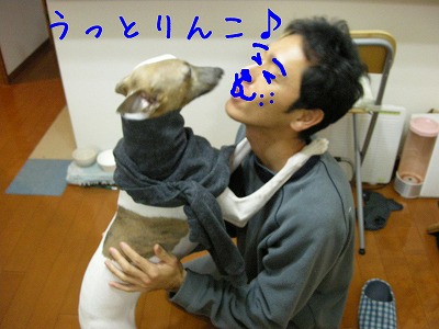 08041903y.jpg