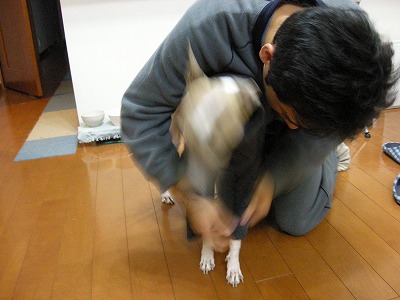 08041905y.jpg