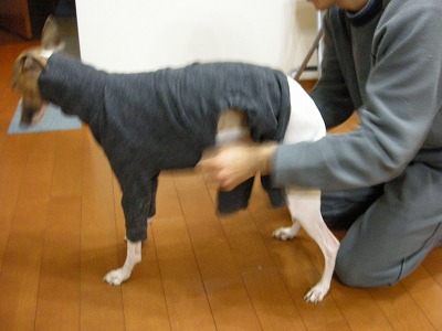 08041906y.jpg