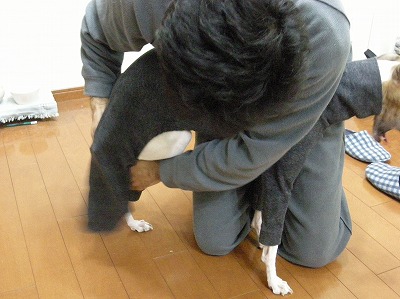 08041910y.jpg