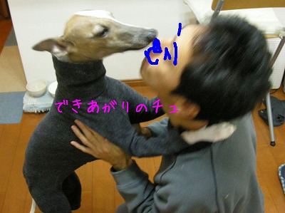 08041911y.jpg