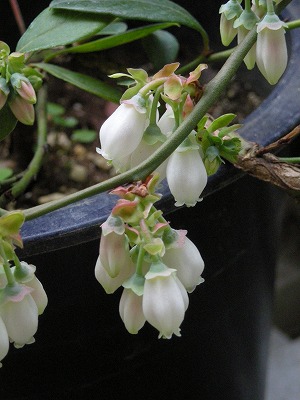 08042304.jpg