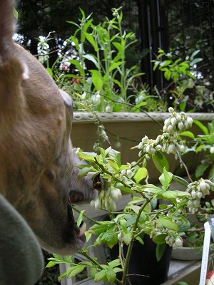 08042305.jpg