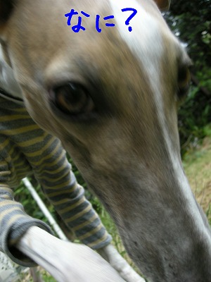 08042401.jpg