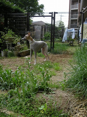 08042402.jpg
