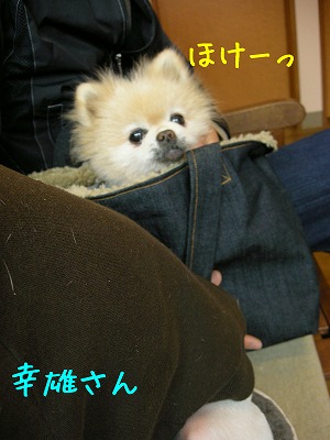 08042601.jpg