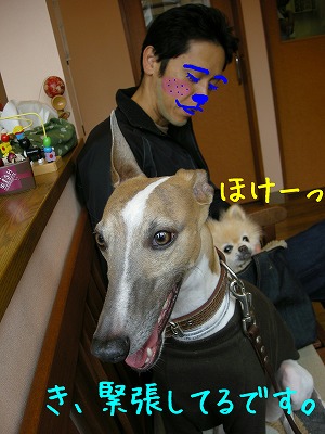 08042602.jpg