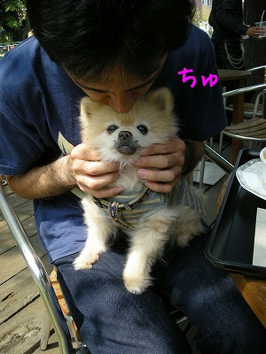 08042906.jpg