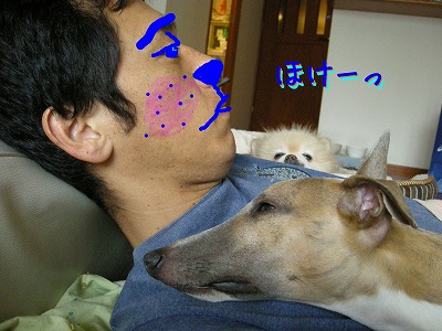 08050501.jpg