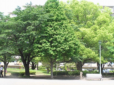 08050705.jpg