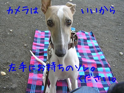 08050706.jpg