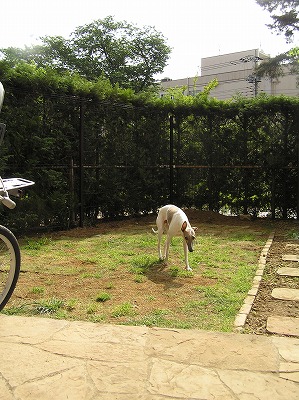08050806.jpg