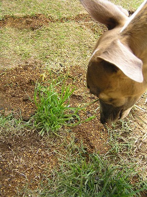 08050811.jpg