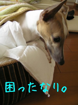 08051002.jpg