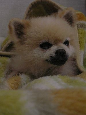 08051103.jpg