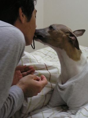08051109.jpg