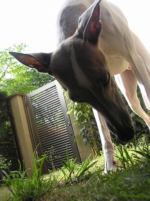 08051503.jpg