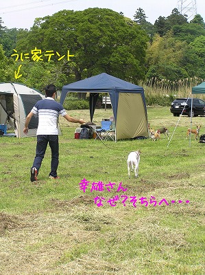 08051816.jpg