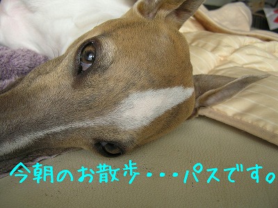08051904.jpg