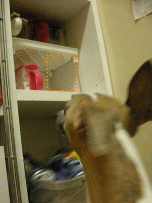 08052107.gif