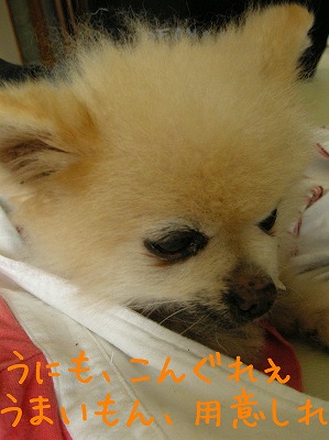 08052203.jpg