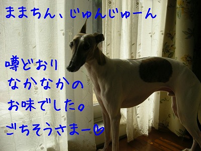 08052205.jpg
