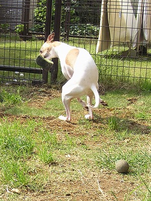08052304.jpg