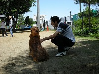 08060111.jpg