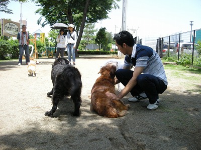 08060113.jpg