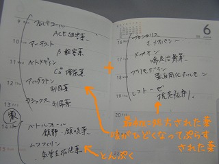 08060704.jpg