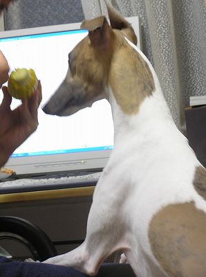 08061103.jpg