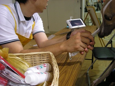 08062103.jpg