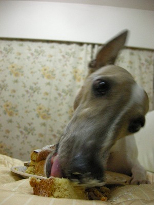08062111.jpg