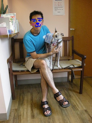 08070501.jpg