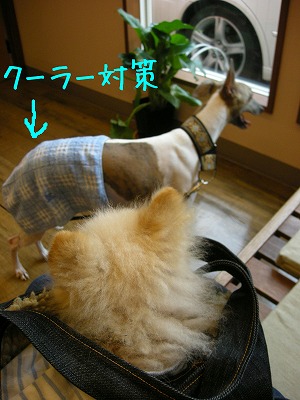 08070502.jpg