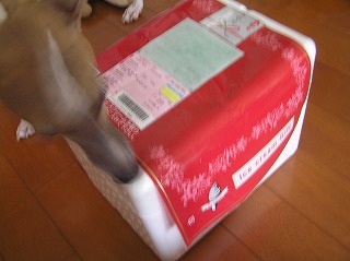 08070601.jpg
