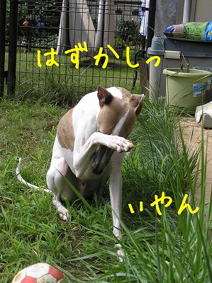 080709y01.jpg