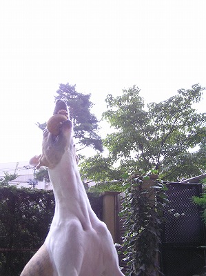 08072403.jpg