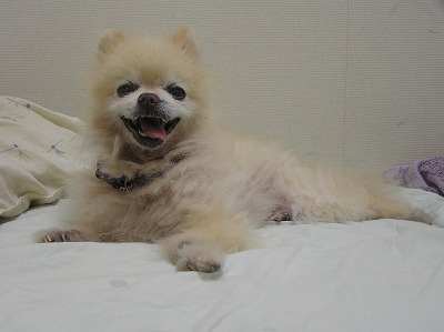 08081204.jpg