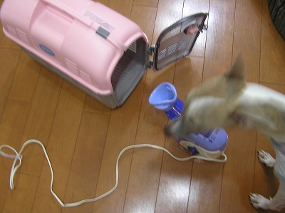 08081501.jpg