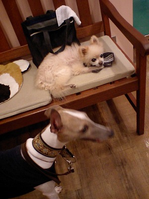 08082006.jpg