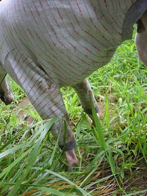 08082501.jpg