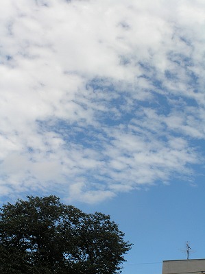 08083101.jpg