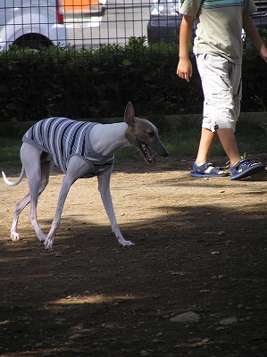 08083105.jpg